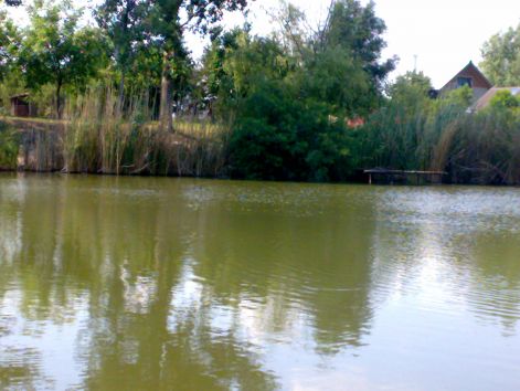 20110708216.jpg