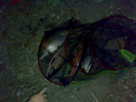 20110711217.jpg