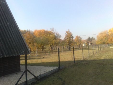 20111101350.jpg