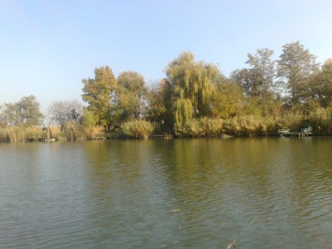 20111101352.jpg