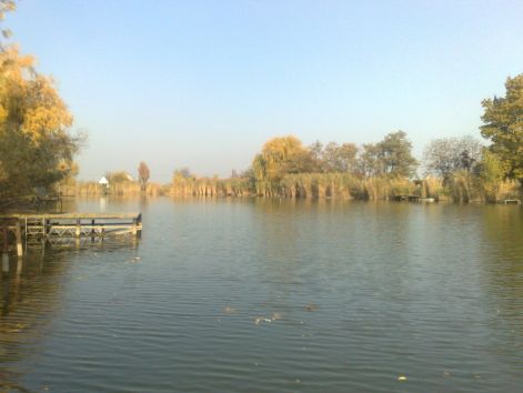 20111101353.jpg