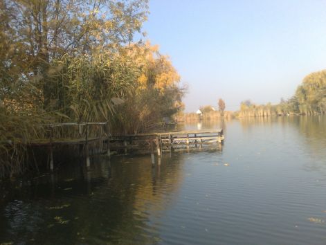 20111101354.jpg