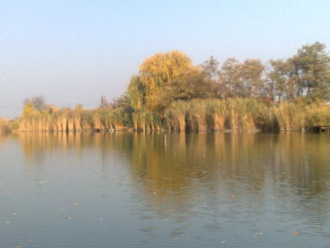 20111101355.jpg