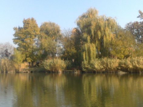 20111101356.jpg