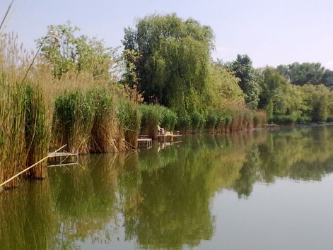 kep0402.jpg