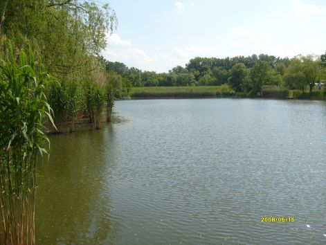 kepek_08-07-12_133.jpg
